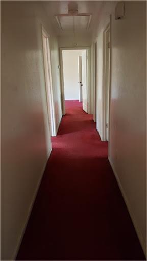 Building Photo - Cozy 4 bedroom/ 2 bath/2 car garage home in Briargate