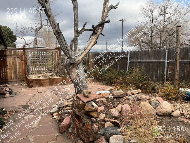 Building Photo - 229 Lilac St