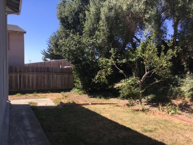 Building Photo - 62 Young Dr