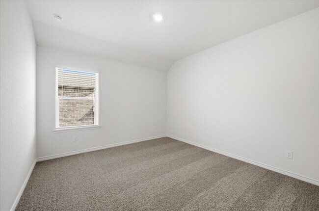 Building Photo - BRAND NEW Celina Home Backing to beautiful Greenbelt 4 Bed/3 Bath with Loft AND Bonus Room