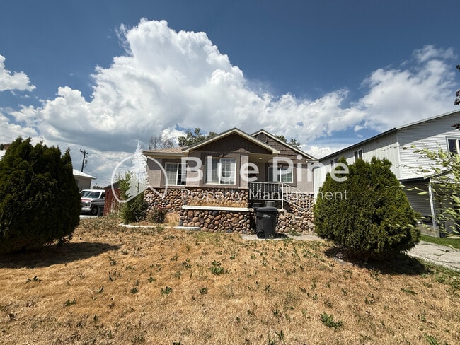 Primary Photo - 321 Lomax St