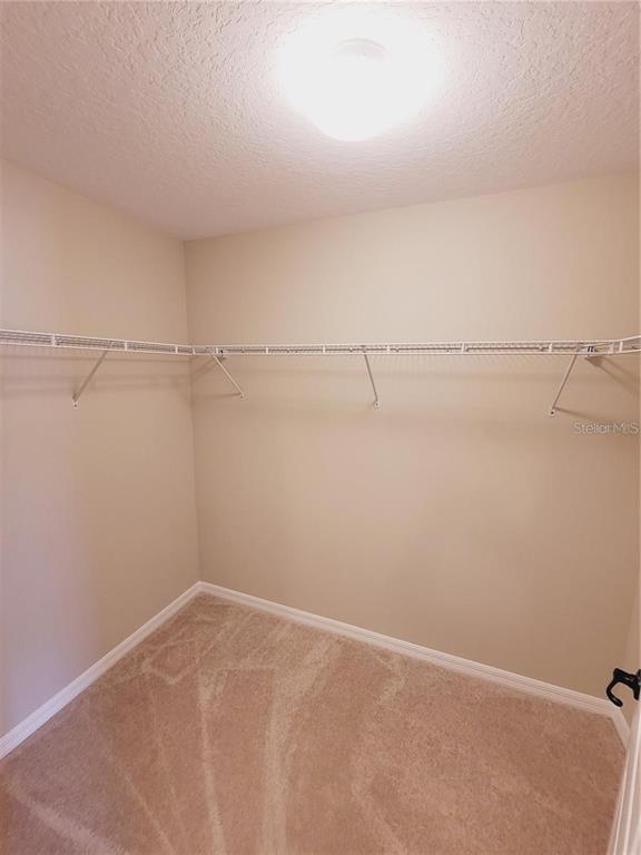 Building Photo - 5 Bowie Pl