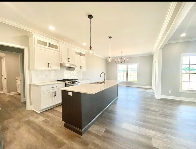 Building Photo - 4 Bed 2 bath with 3 car attached garage
