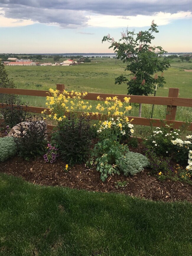 Building Photo - 9412 Joyce Way