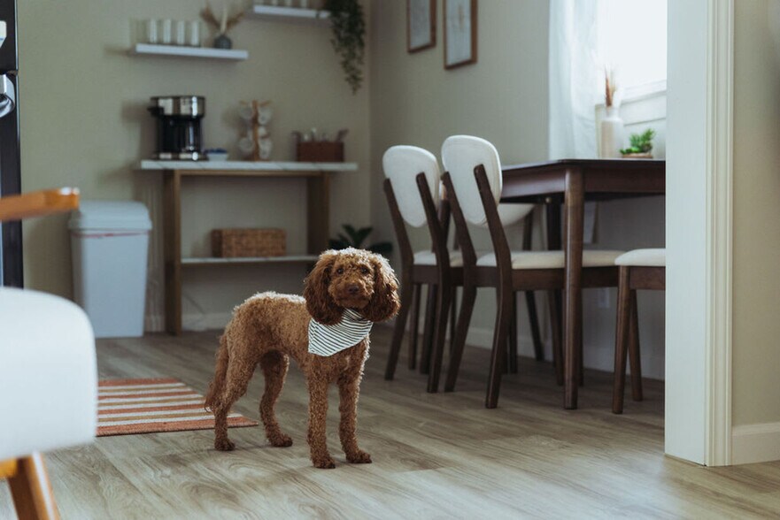 Building Photo - 308 Lamont St