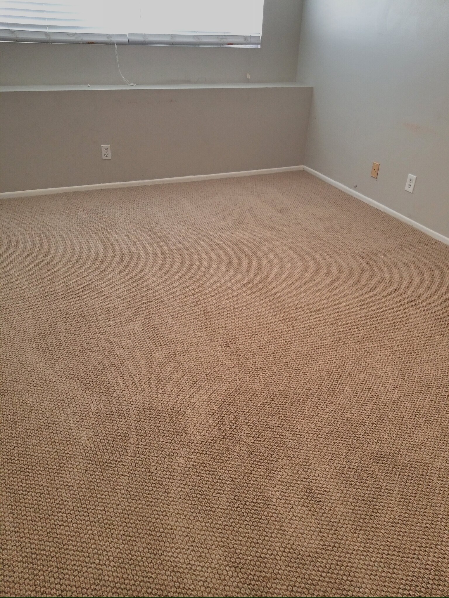 Almost brand new carpet in 2nd bedroom. - 18681 Maplewood Cir