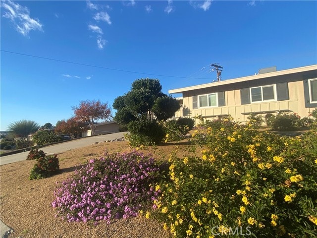 Building Photo - 26980 Augusta Dr