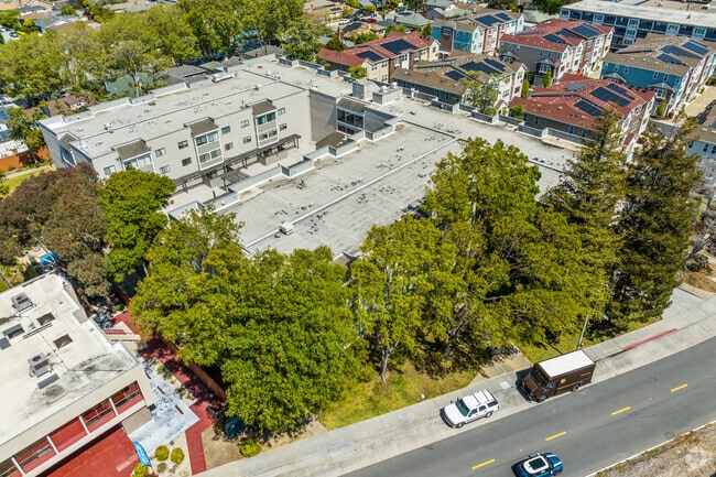 Alternate Exterior - 240 N Bayshore Blvd