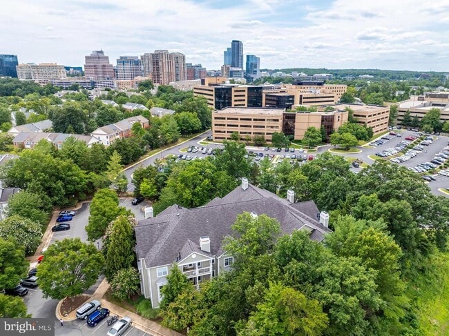 Building Photo - 1700 Lake Shore Crest Dr