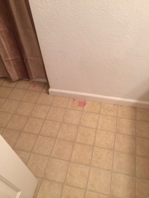 Building Photo - 384 Chestnut St