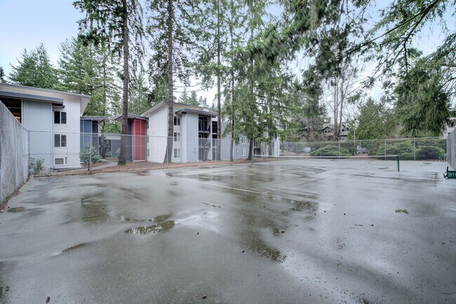 Building Photo - 2Bd/1Ba Bellevue Condo