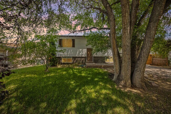 Building Photo - 1551 Chadwick Dr