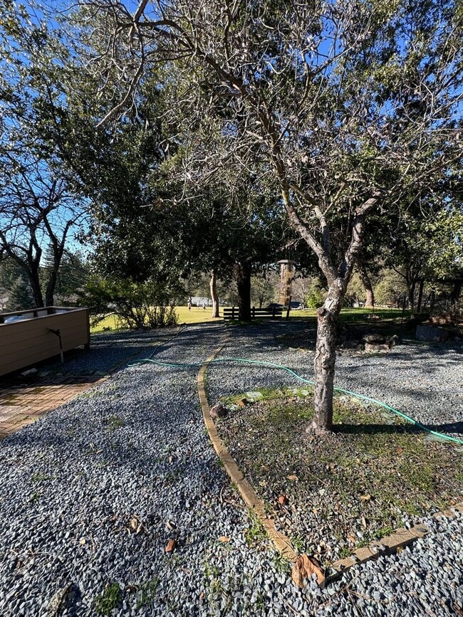 Building Photo - Lake of the pines GOLF COURSE charmer! New counters, new floor, new paint! Wonderful home!