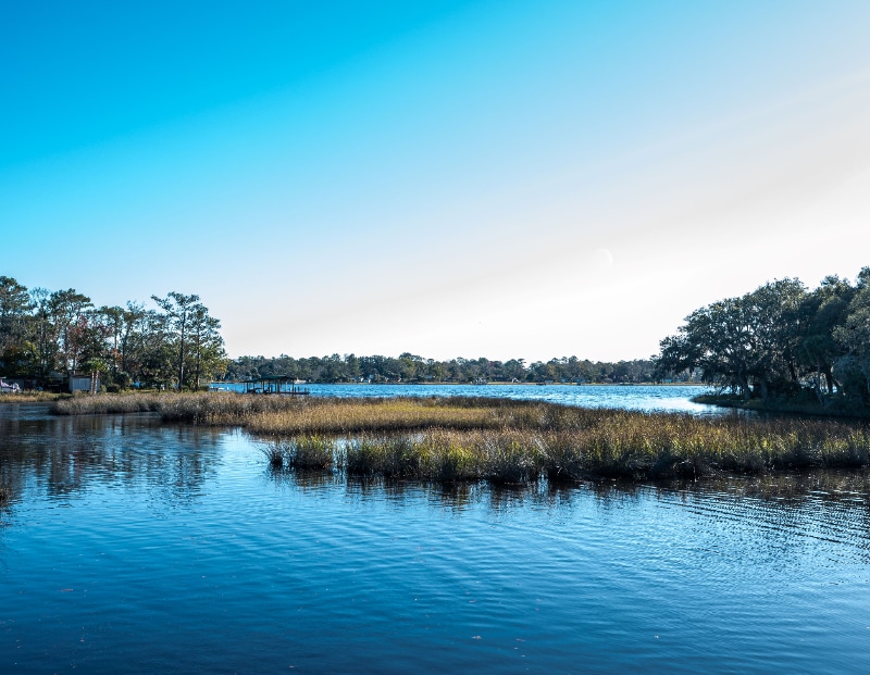 Building Photo - 2339 Broward Rd