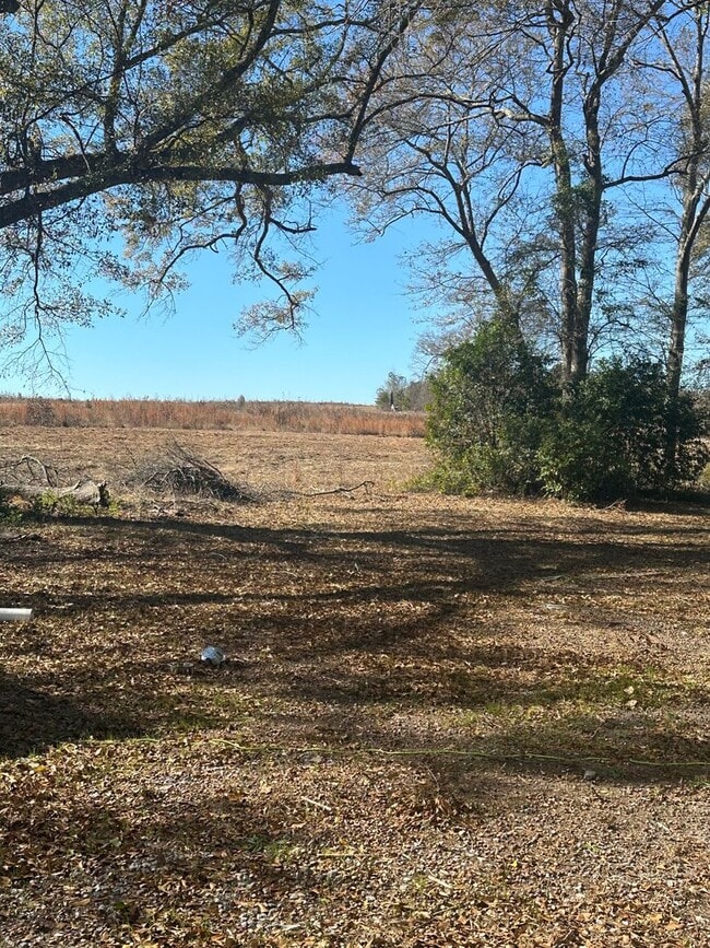 Building Photo - 3 bedroom 2 bath with plenty of space inside and out and gorgeous views!