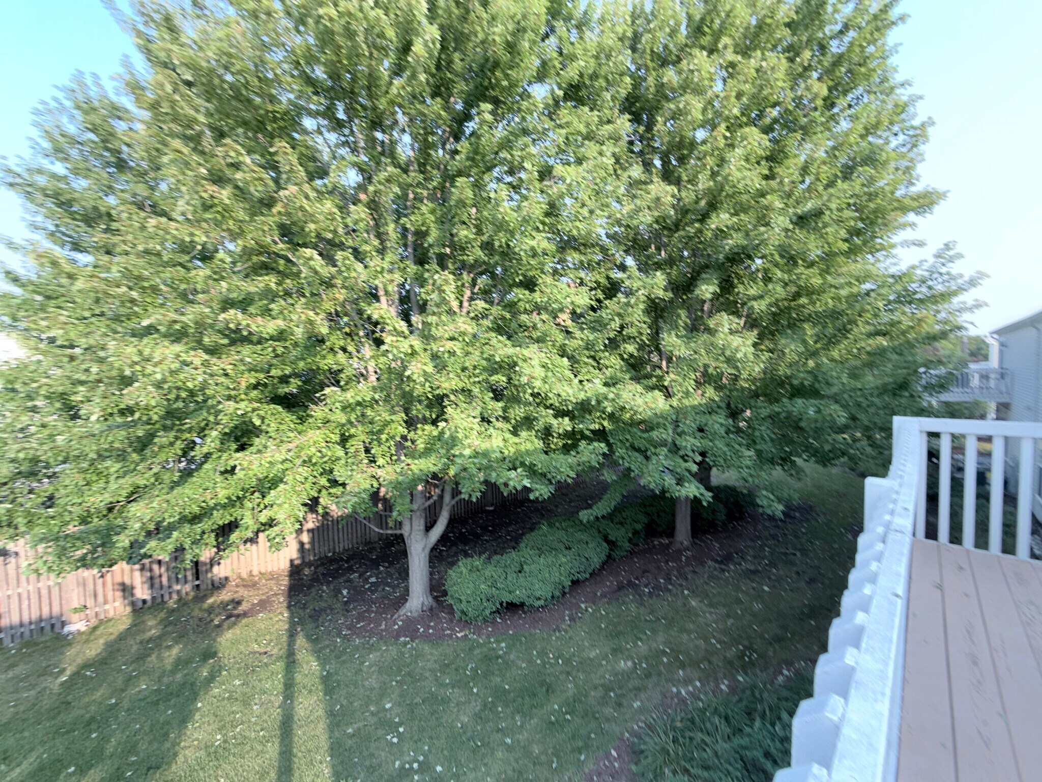 Building Photo - 1424 Westhampton Dr