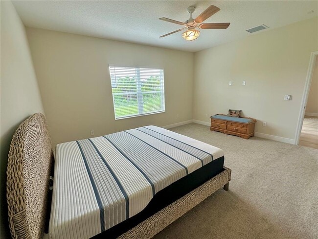 Building Photo - 2633 Star Apple Wy