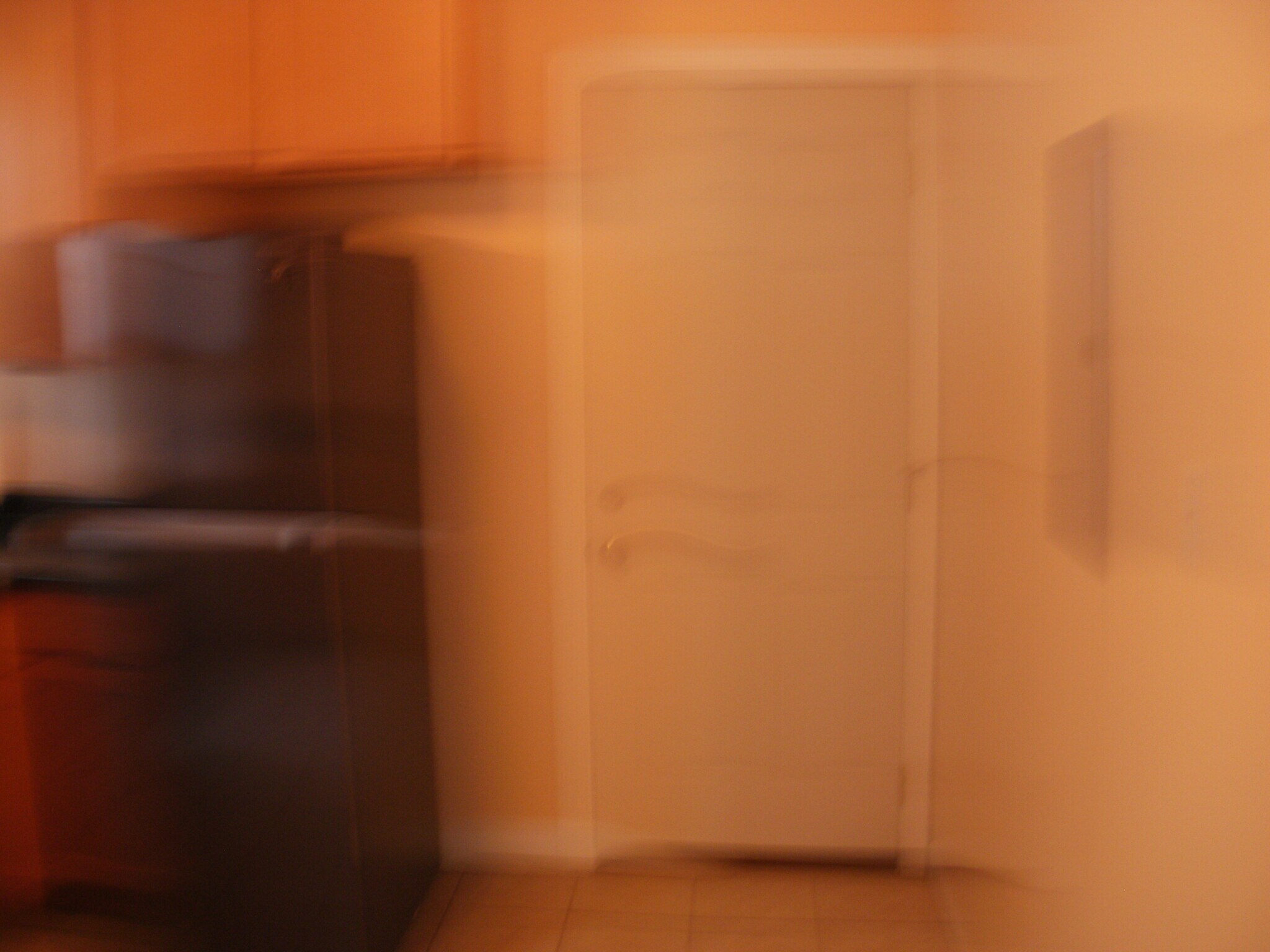 refrigator in unit - 1706 N Mayfield Ave
