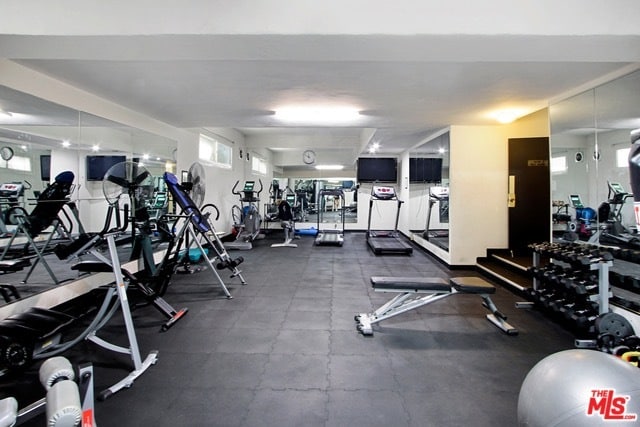 Modern, immaculate, well equipped gym - 1203 N Sweetzer Ave