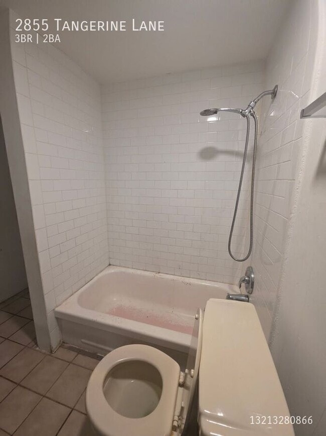 Building Photo - 2855 Tangerine Ln