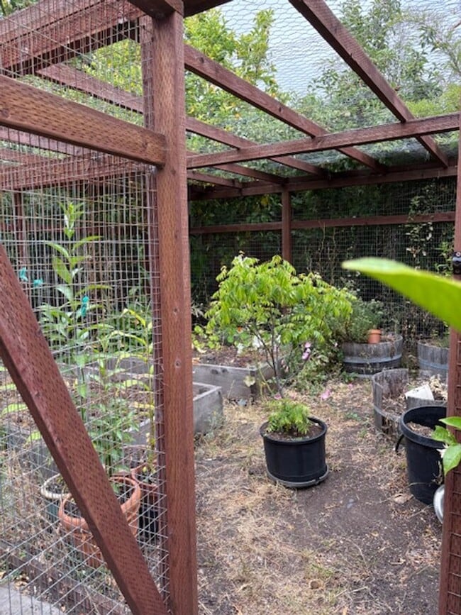 Building Photo - Beautiful Remodeled Berkeley 3 Bedroom Dup...