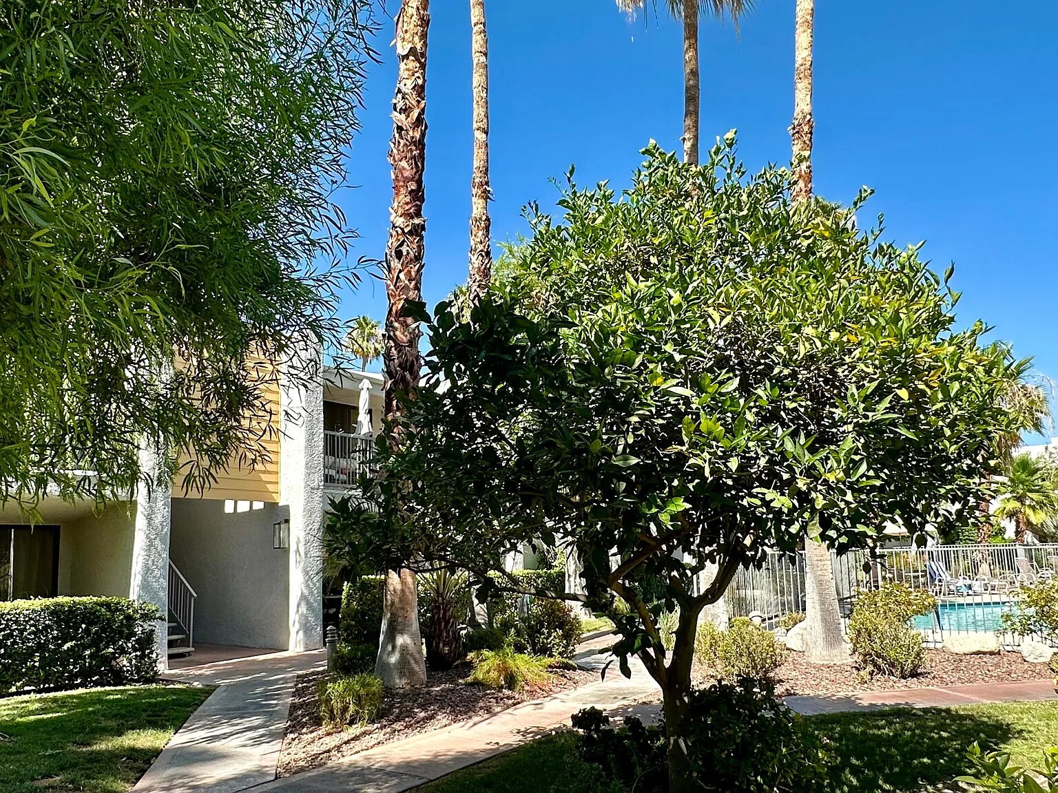 Building Photo - 3155 E Ramon Rd