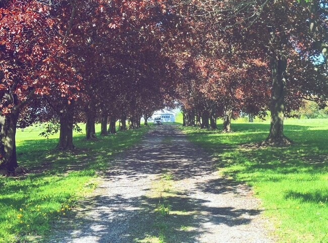 Building Photo - 5408 NY-22