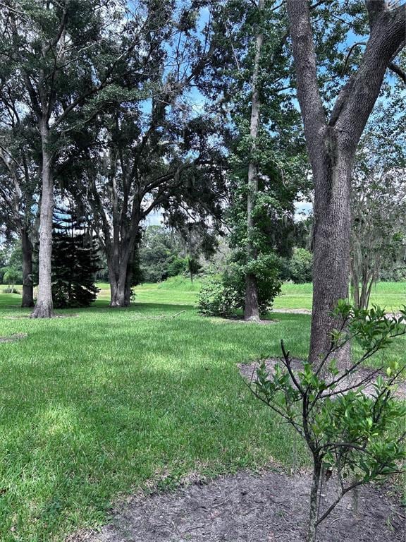 Building Photo - 1531 McCrea Dr