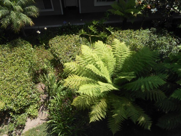 Building Photo - Beautiful remodeled 1 Bed one Bath in  Nor...
