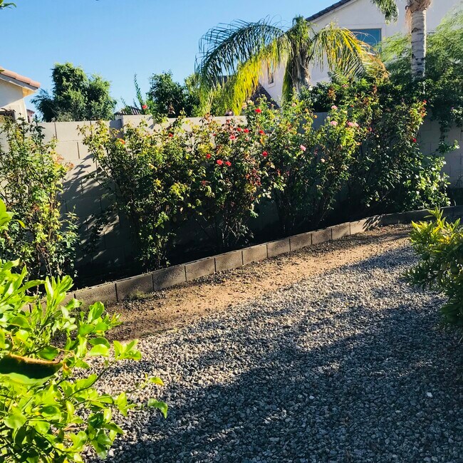 Building Photo - 8851 W Augusta Ave