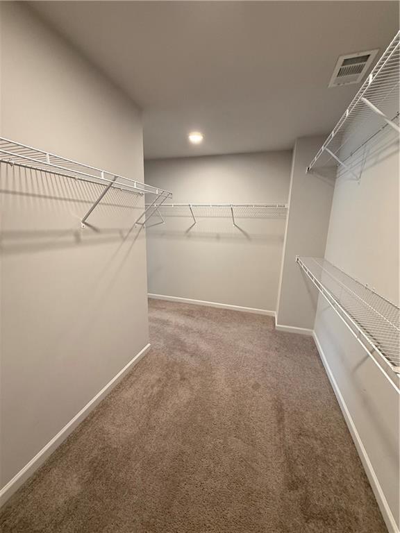 Building Photo - 4610 Sandy Creek Dr