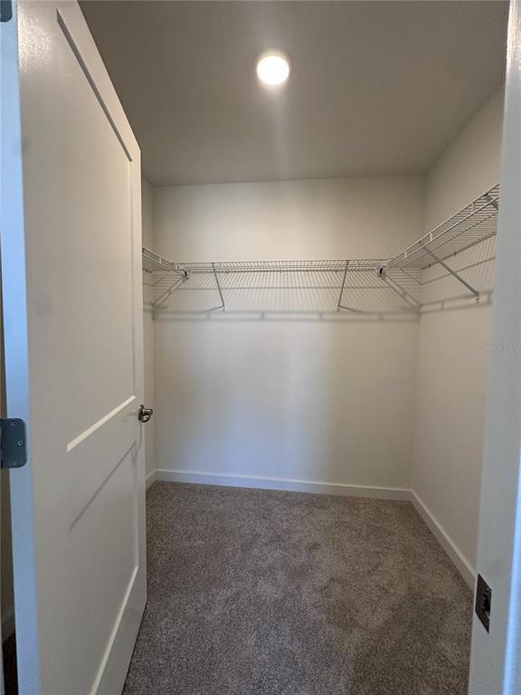 Building Photo - 2059 Iorio St