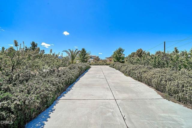 Building Photo - 9020 Pionero Rd