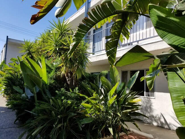 Outside Landscape - 336 E Santa Anita Ave