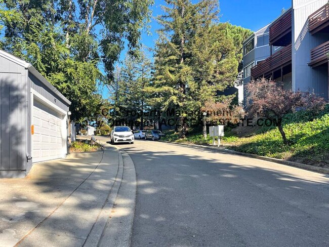 Building Photo - Quiet and Quaint Hayward Hills Condo 4 Rent
