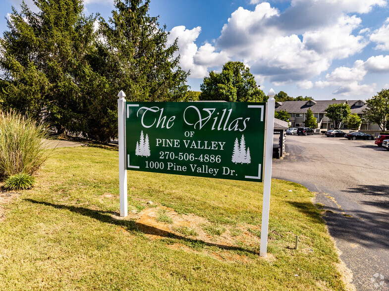 Building Photo - The Villas of Pine Valley