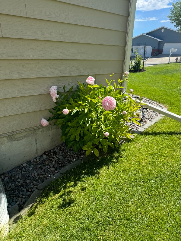 Building Photo - 60 Dayspring Loop