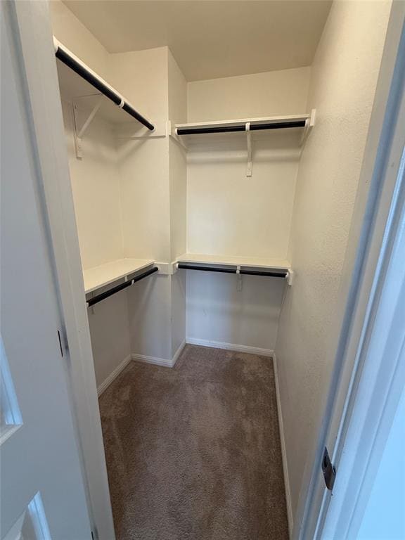 Building Photo - 234 Spiny Lizard Ln