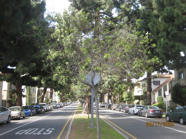 Building Photo - 4251 Degnan Blvd