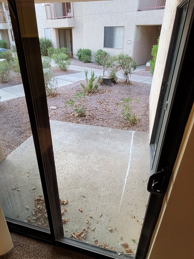 Building Photo - Updated 2/2 condo with 2 master bedrooms!