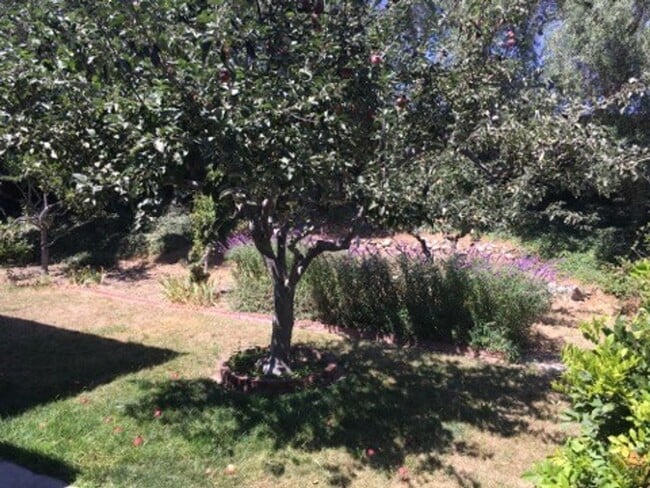 Building Photo - 62 Young Dr