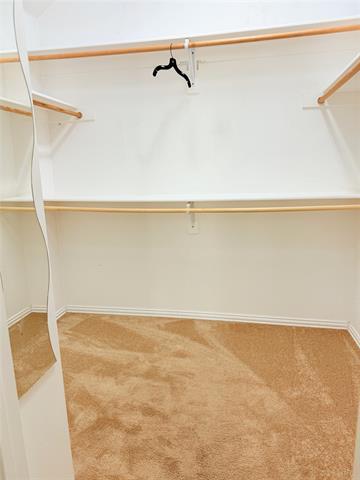 Building Photo - 8364 Fall Crest Dr