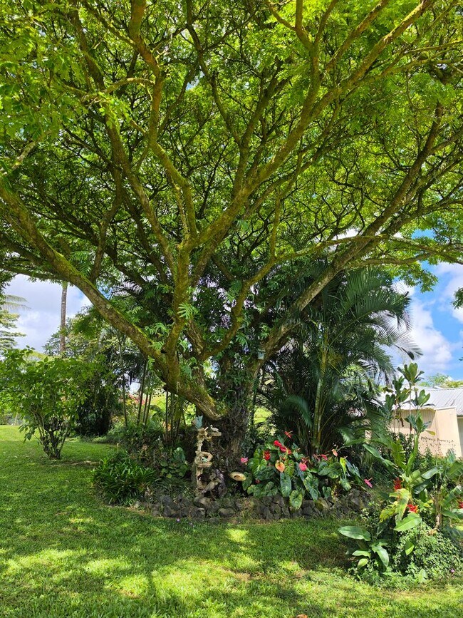 Building Photo - Available Now | Furnished 2BD/1BA Home in Hawaiian Paradise Park