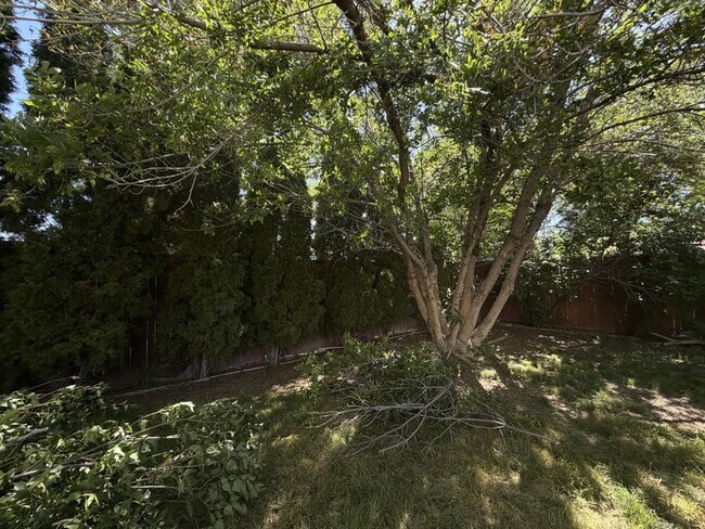 Building Photo - 704 Country Club Dr