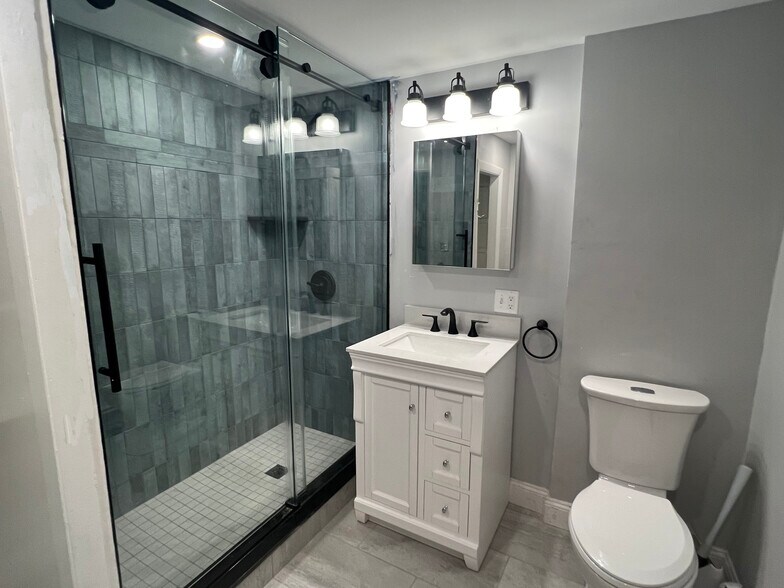 Fully renovated full bath with walk-in shower, glass doors, vantiy, medicine cabinet, toilet - 347 Elliot St