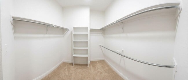 Building Photo - 129 Autumn Forest Ln