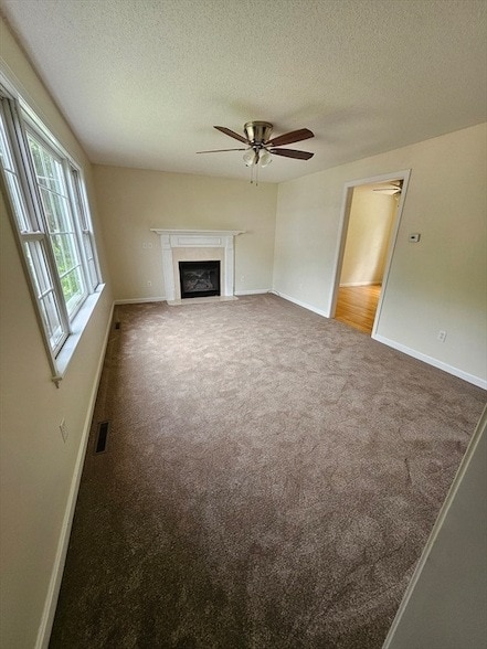 Building Photo - 61 Lawe St