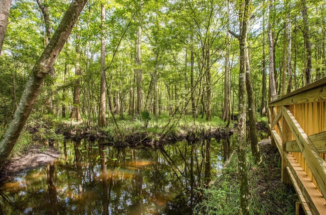 Building Photo - Brand-New Town Home in Shearwater with Resort-Style Amenities