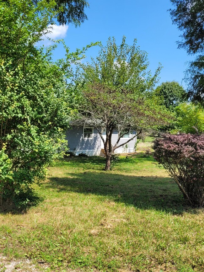 Building Photo - 4130 Buck Creek Valley Rd SE