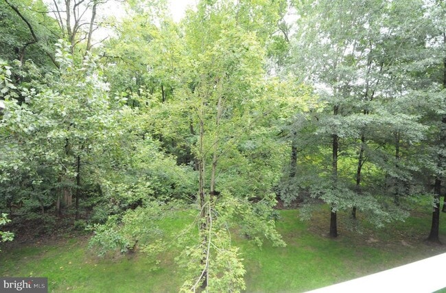 Building Photo - 2010 N Westmoreland St